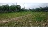 Vacant Lot Near Mactan-Cebu International Airport for Sale, Lapu-Lapu